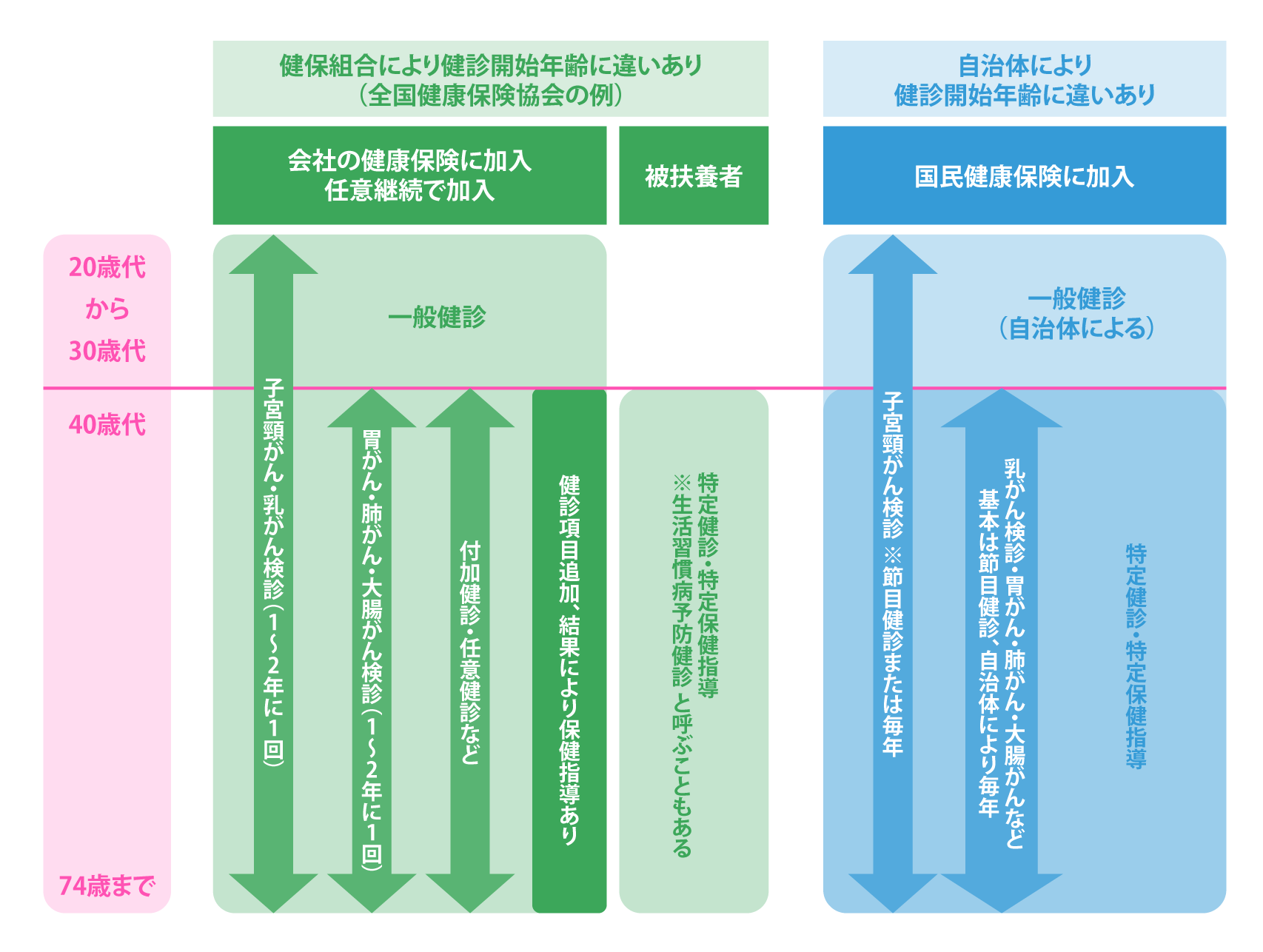 下図　加入する健康保険による受診可能な健診の例